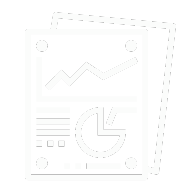 Analysis, Reporting & Delivery